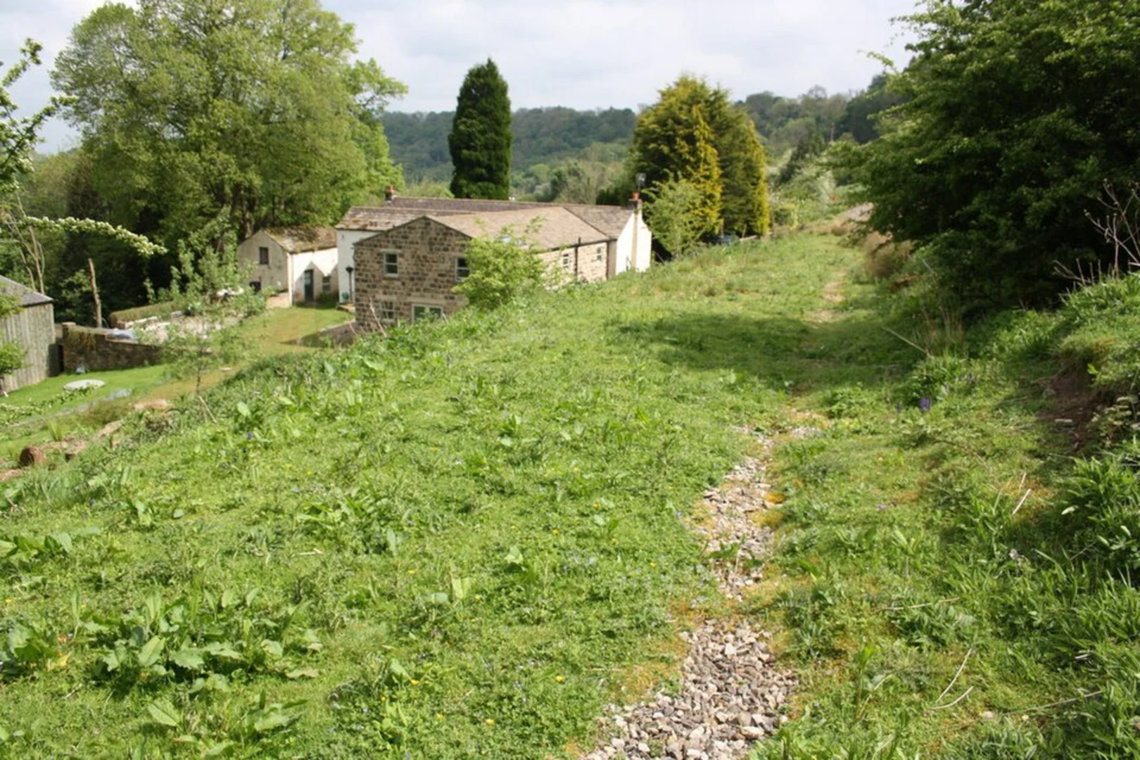 An image depicting the trail Billy Bank Wood and River Swale Loop and its surrounding area.
