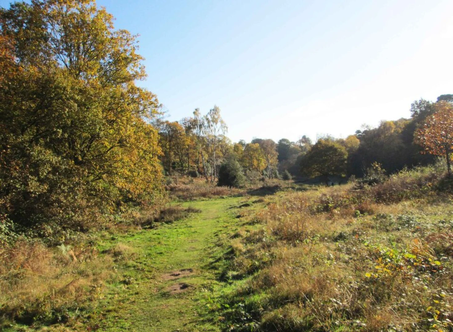 An image depicting the trail Habberley Valley Nature Reserve Loop and its surrounding area.