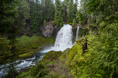 An image depicting the trail Sahalie Falls via Umbrella Falls Trail and its surrounding area.