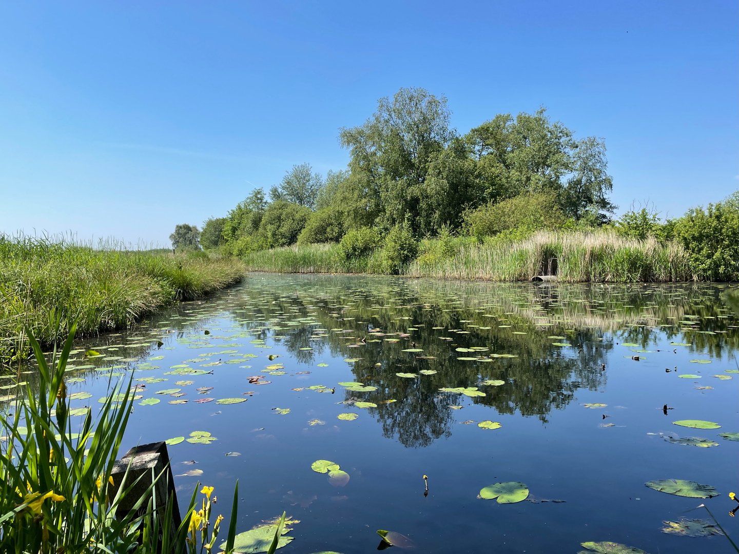 An image depicting the trail Alde Feanen and Earnewald Loop and its surrounding area.