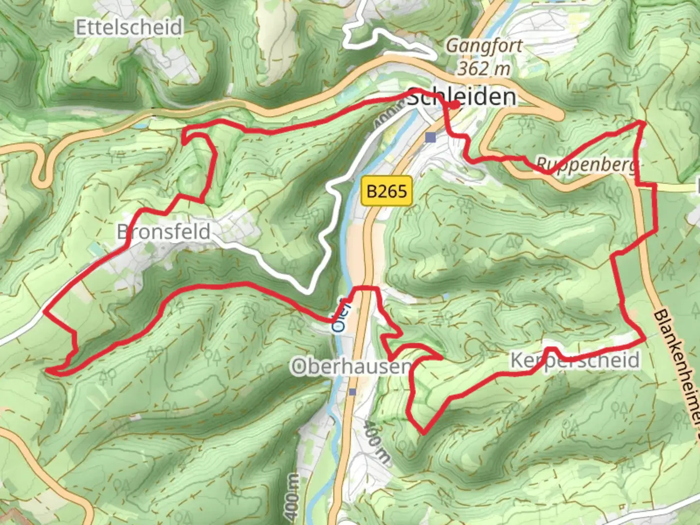 An image depicting the trail Schleiden and Wiesgen Loop and its surrounding area.
