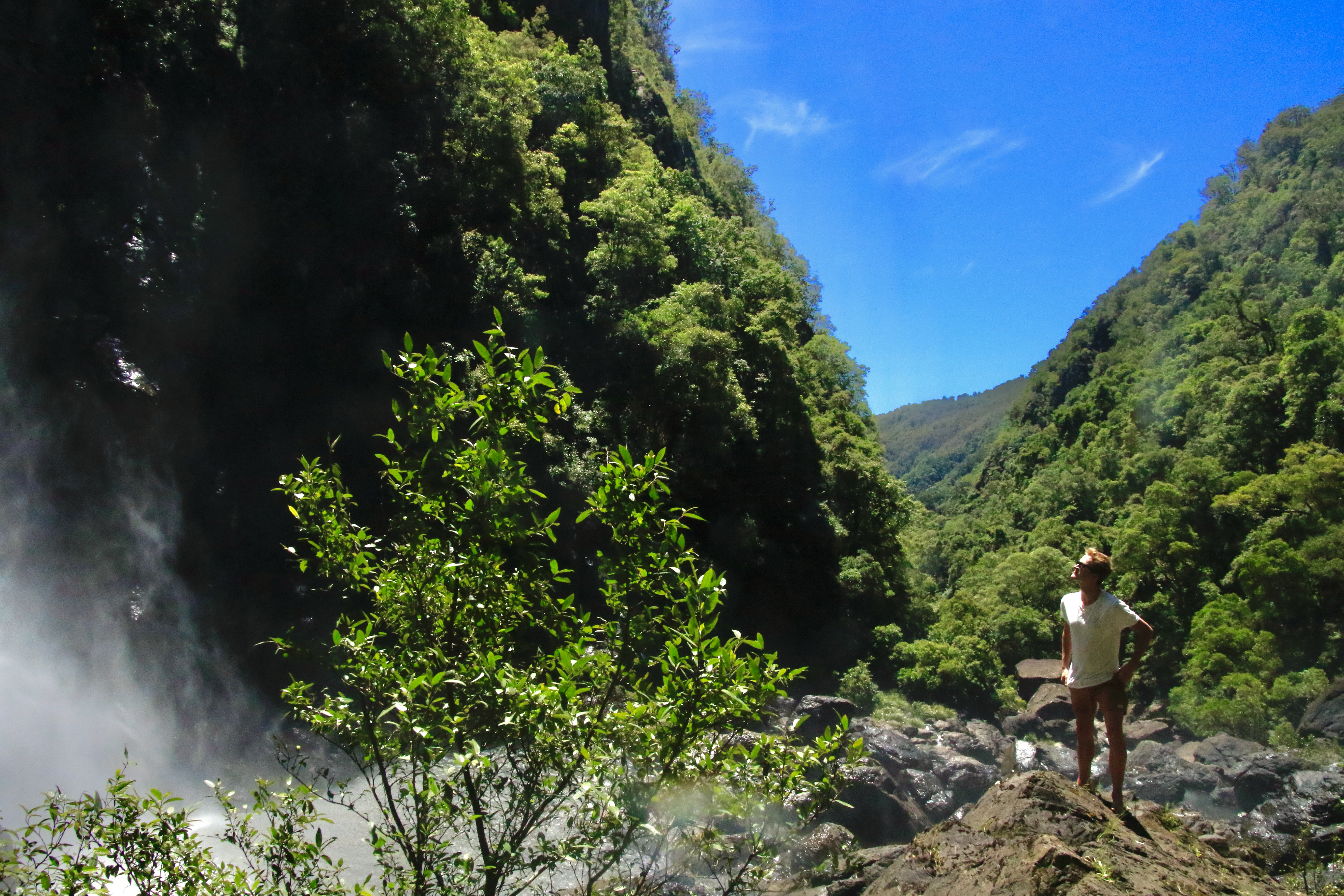 An image depicting the trail Biriwal Bulga National Park and its surrounding area.