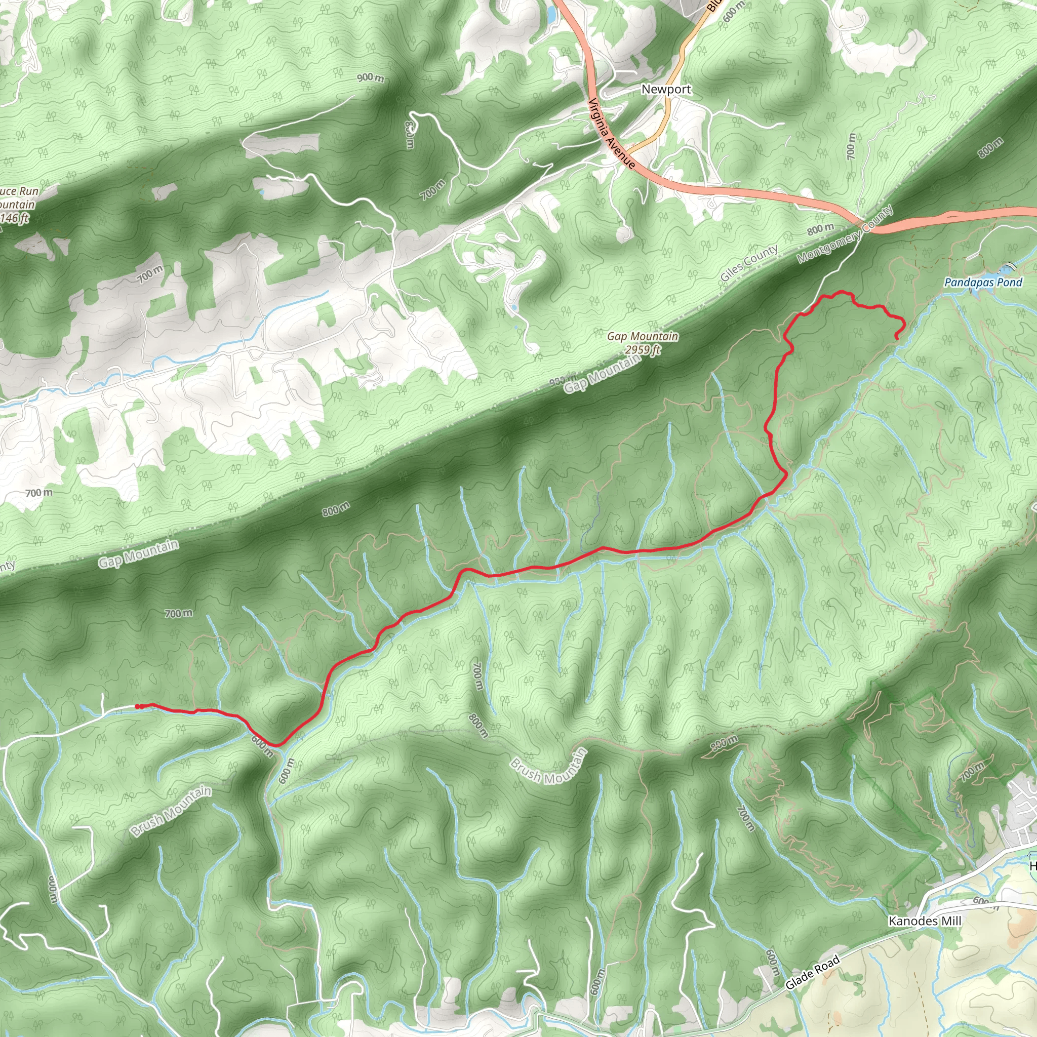 Royale Trail mobile static map