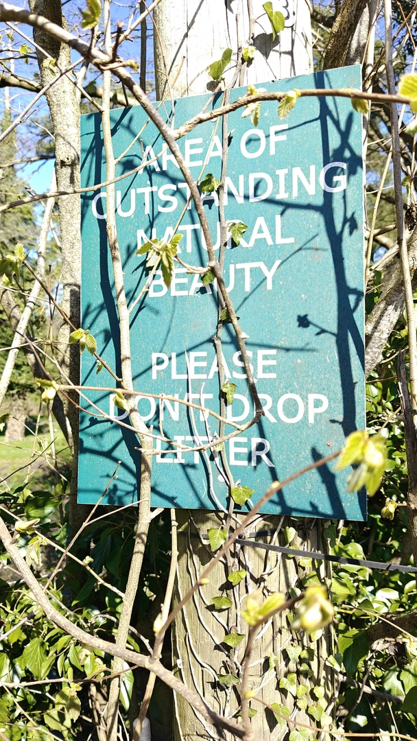 An image depicting the trail Kent - Cotmans Ash Loop and its surrounding area.