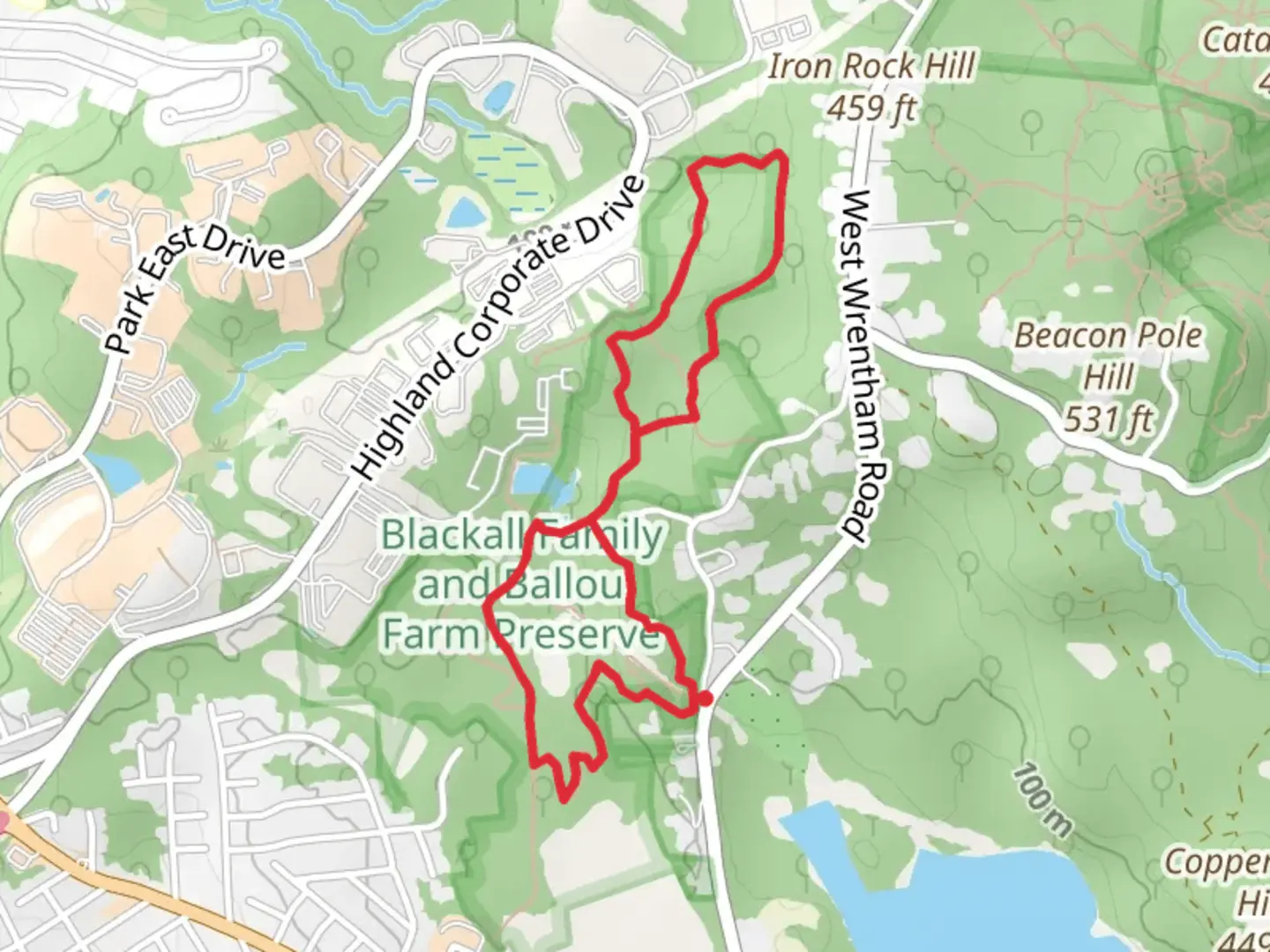 An image depicting the trail Blue and Yellow Loop Trail and its surrounding area.