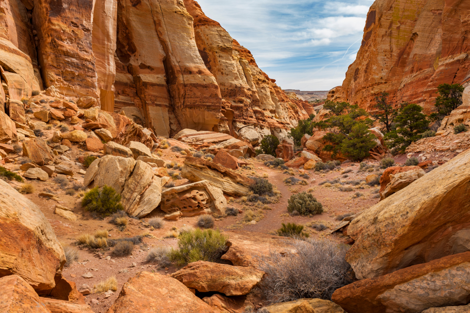 An image depicting the trail Fremont Gorge Overlook Trail and its surrounding area.
