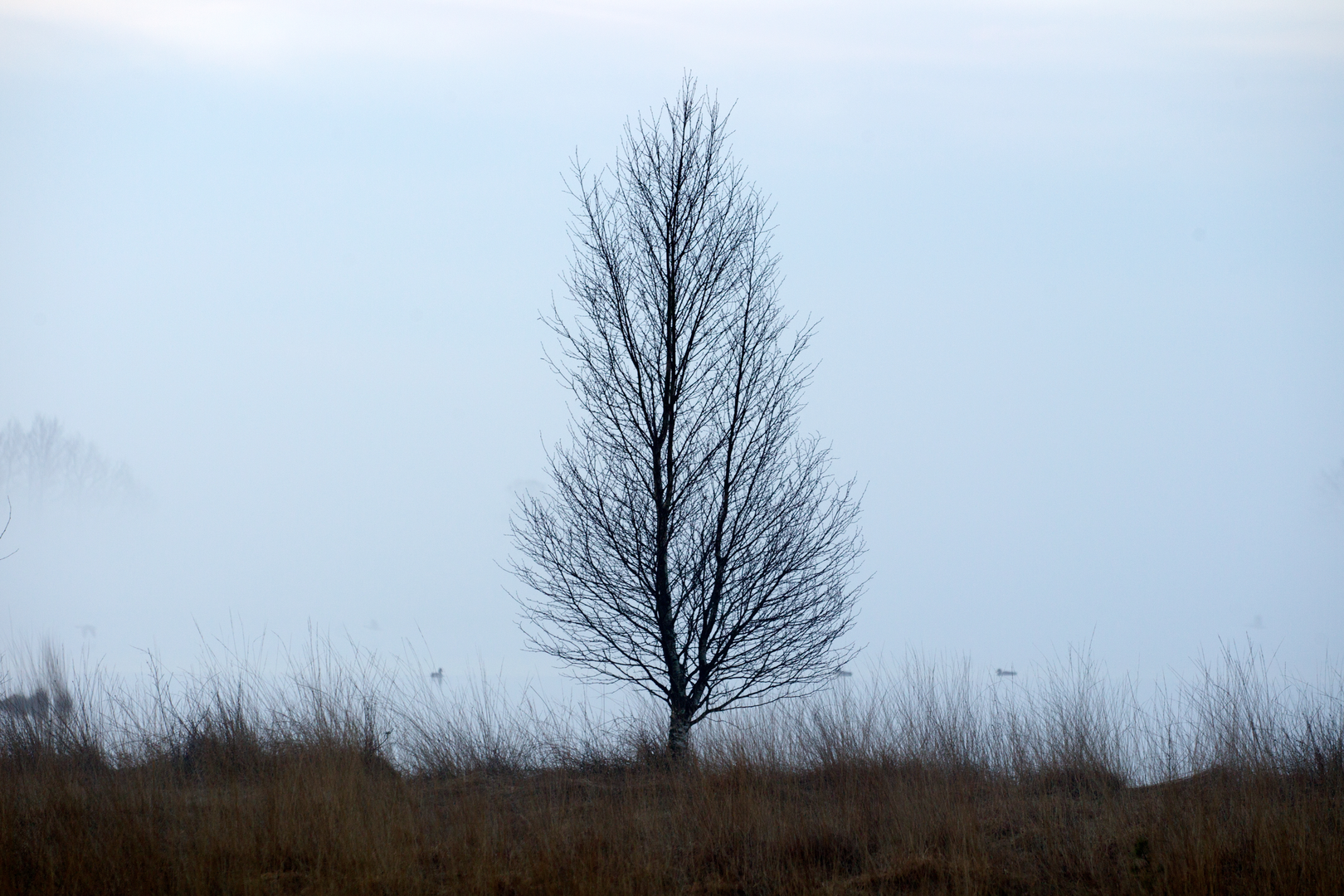An image depicting the trail Davidsplassen and Spaarbankbosch Loop and its surrounding area.