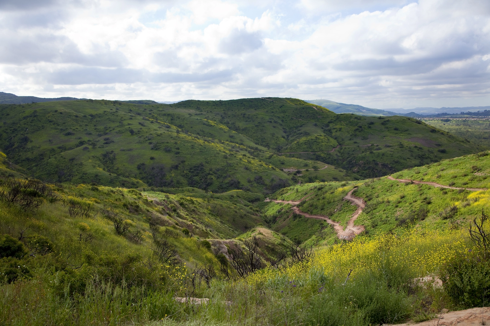 An image depicting the trail Santiago Creek, Anaheim Hill and Roadrunner Loop Trail and its surrounding area.