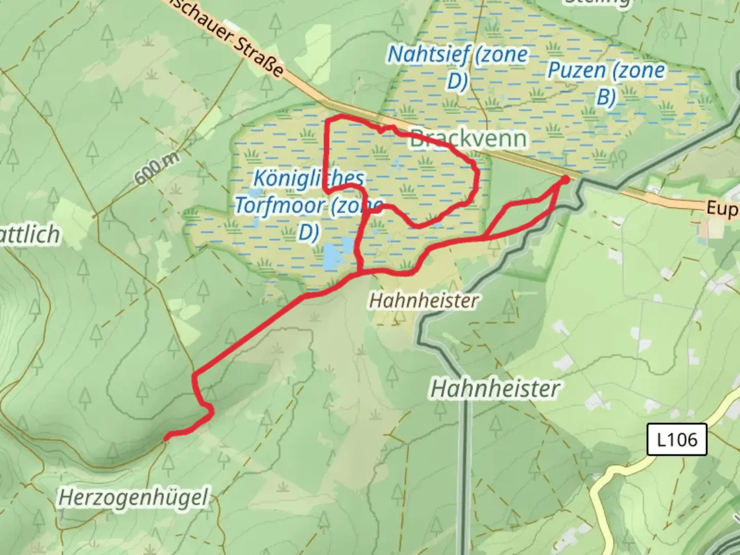 An image depicting the trail Hahnheister and Brachvenn Loop via Waldweg and its surrounding area.