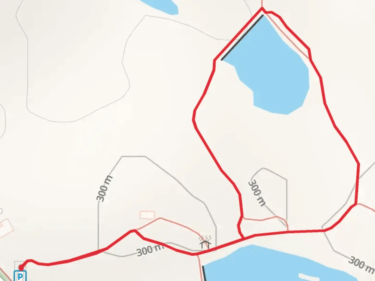 An image depicting the trail Carpenters Creek Road Loop - Short and its surrounding area.