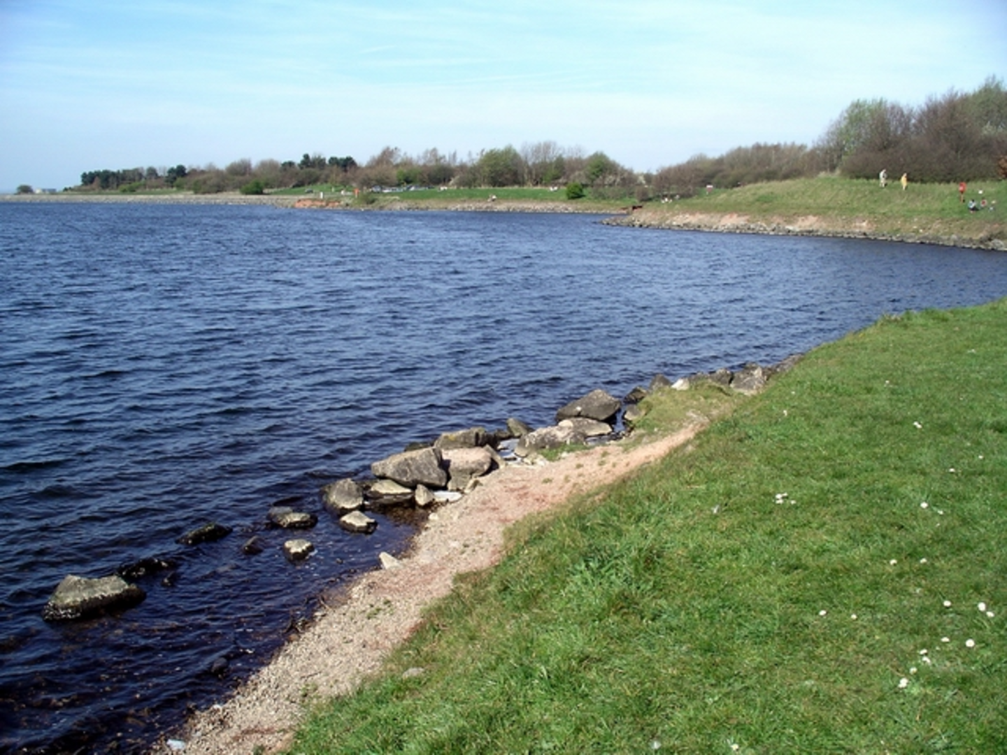 An image depicting the trail Milton to Carver's Rock Loop and its surrounding area.