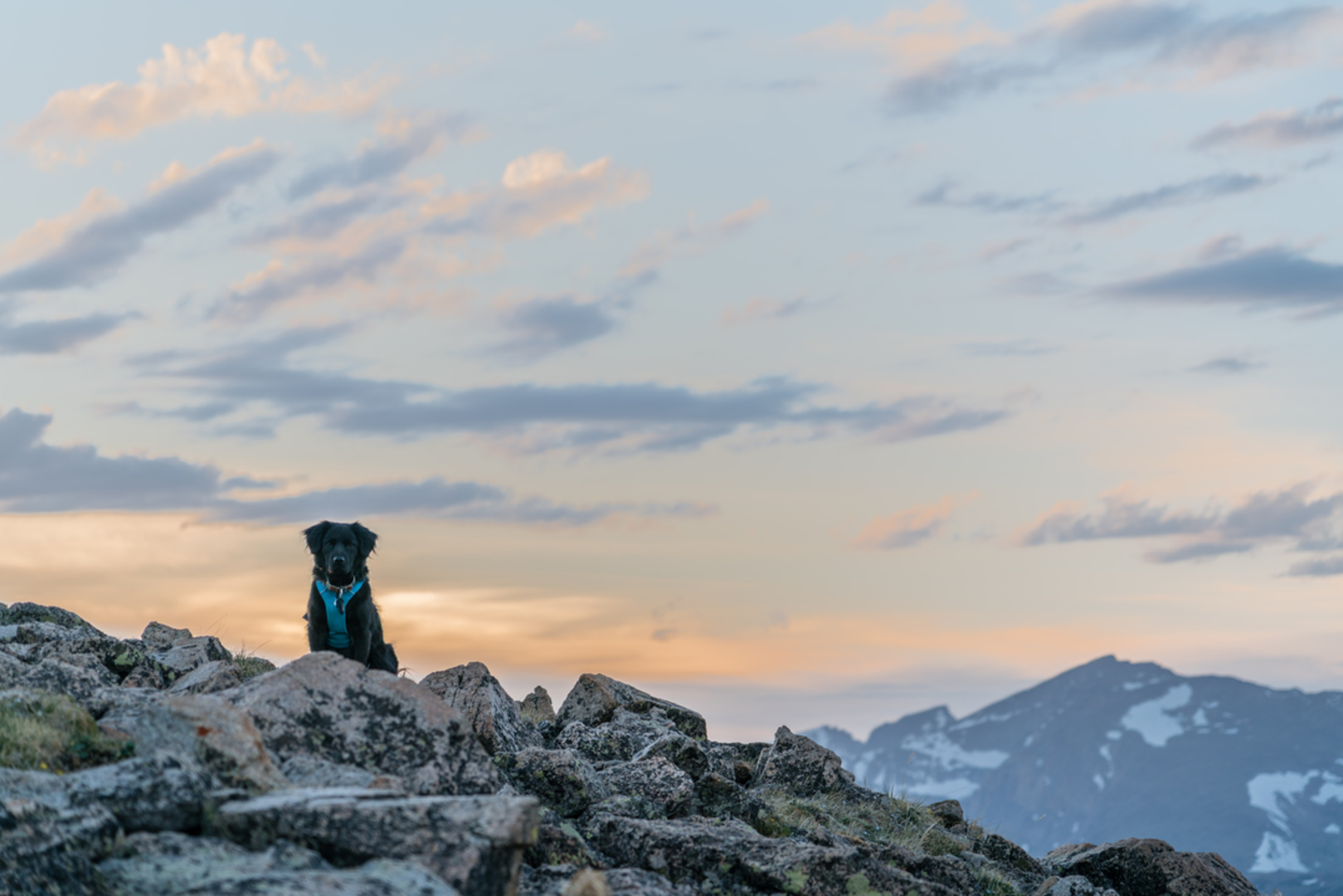 An image depicting the trail St Vrain Mountain Trail and its surrounding area.