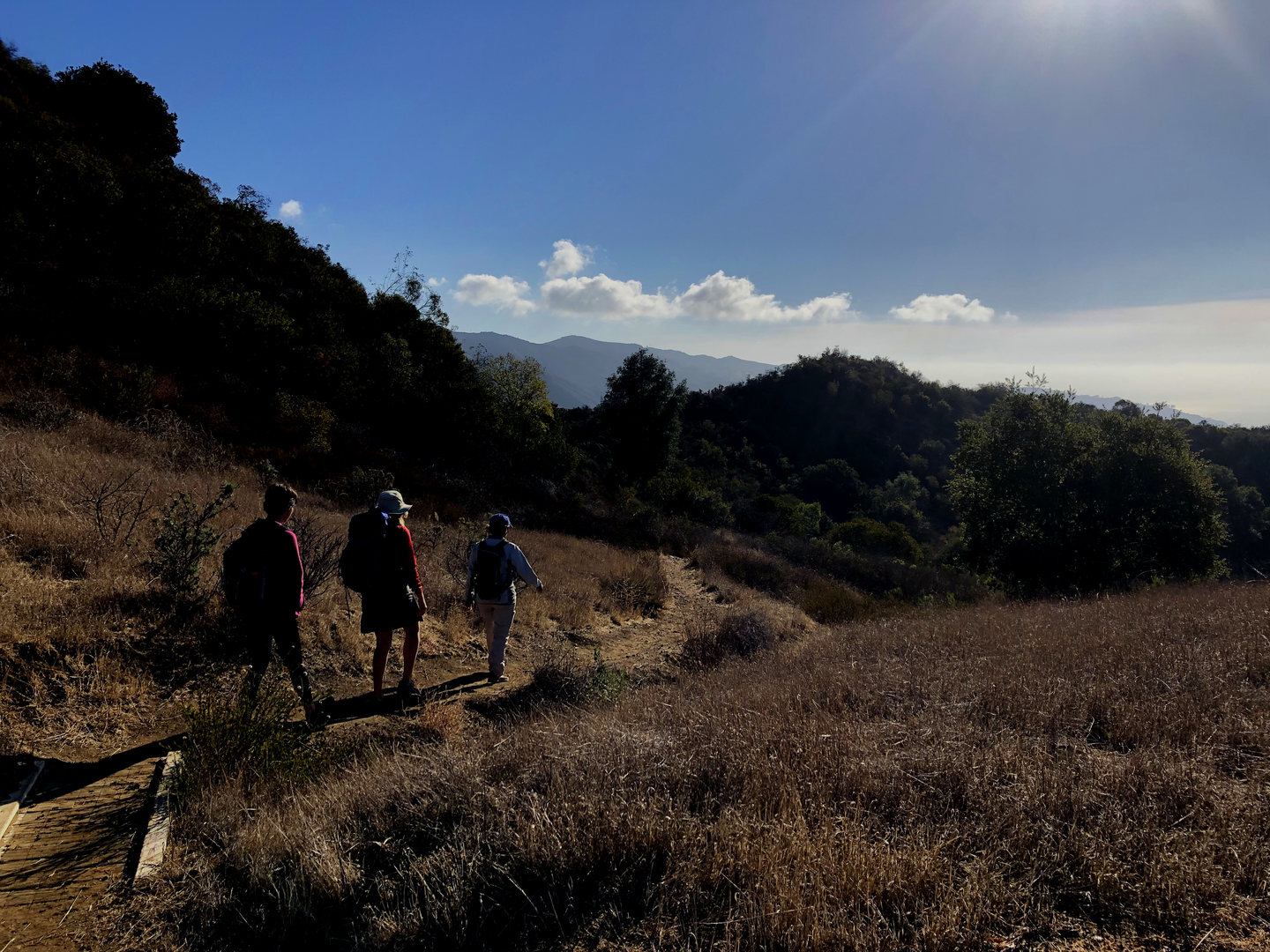 An image depicting the trail Eagle Rock via Eagle Springs Fire Road and its surrounding area.