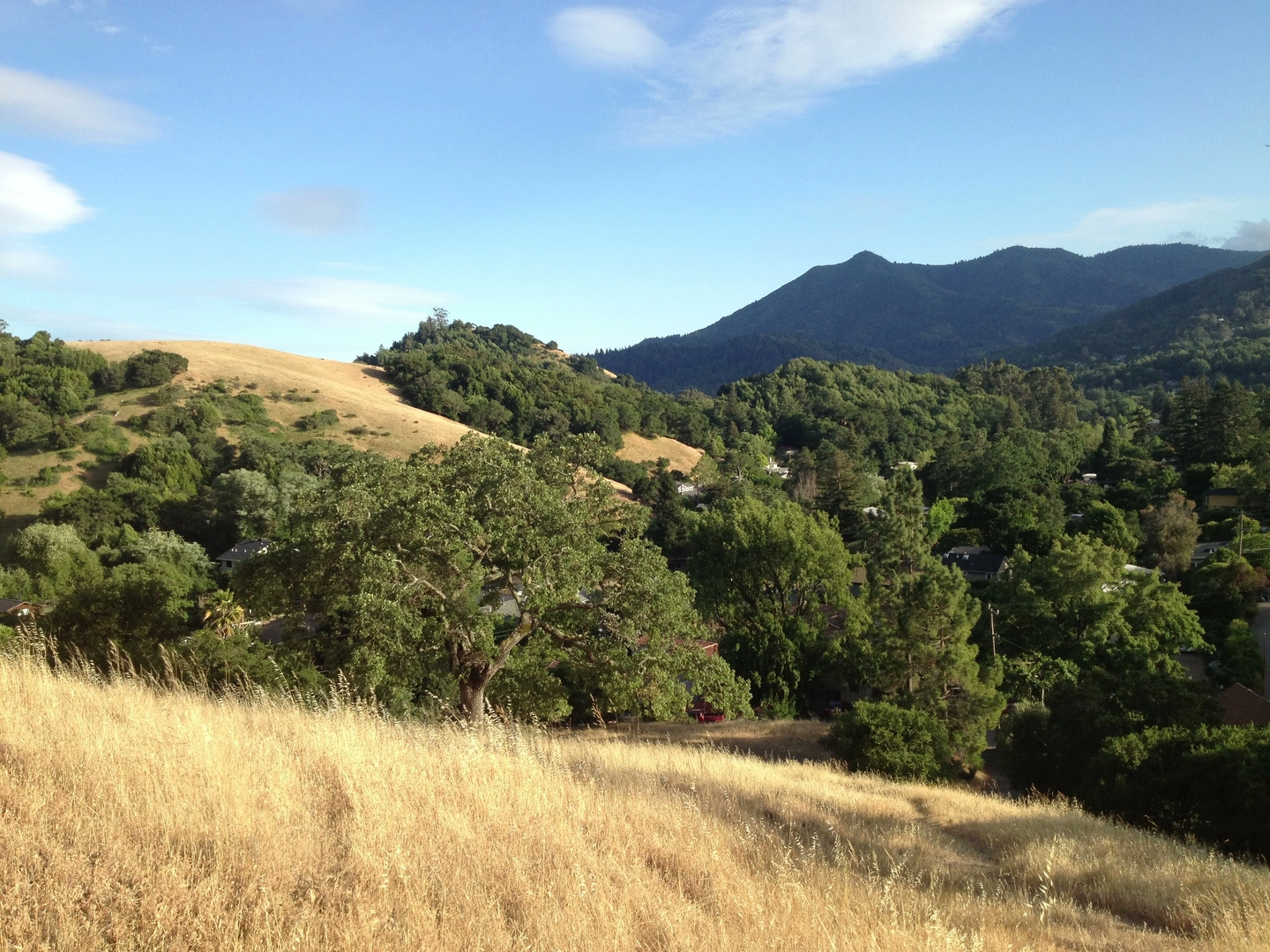An image depicting the trail Sorich Park Loop Trail and its surrounding area.