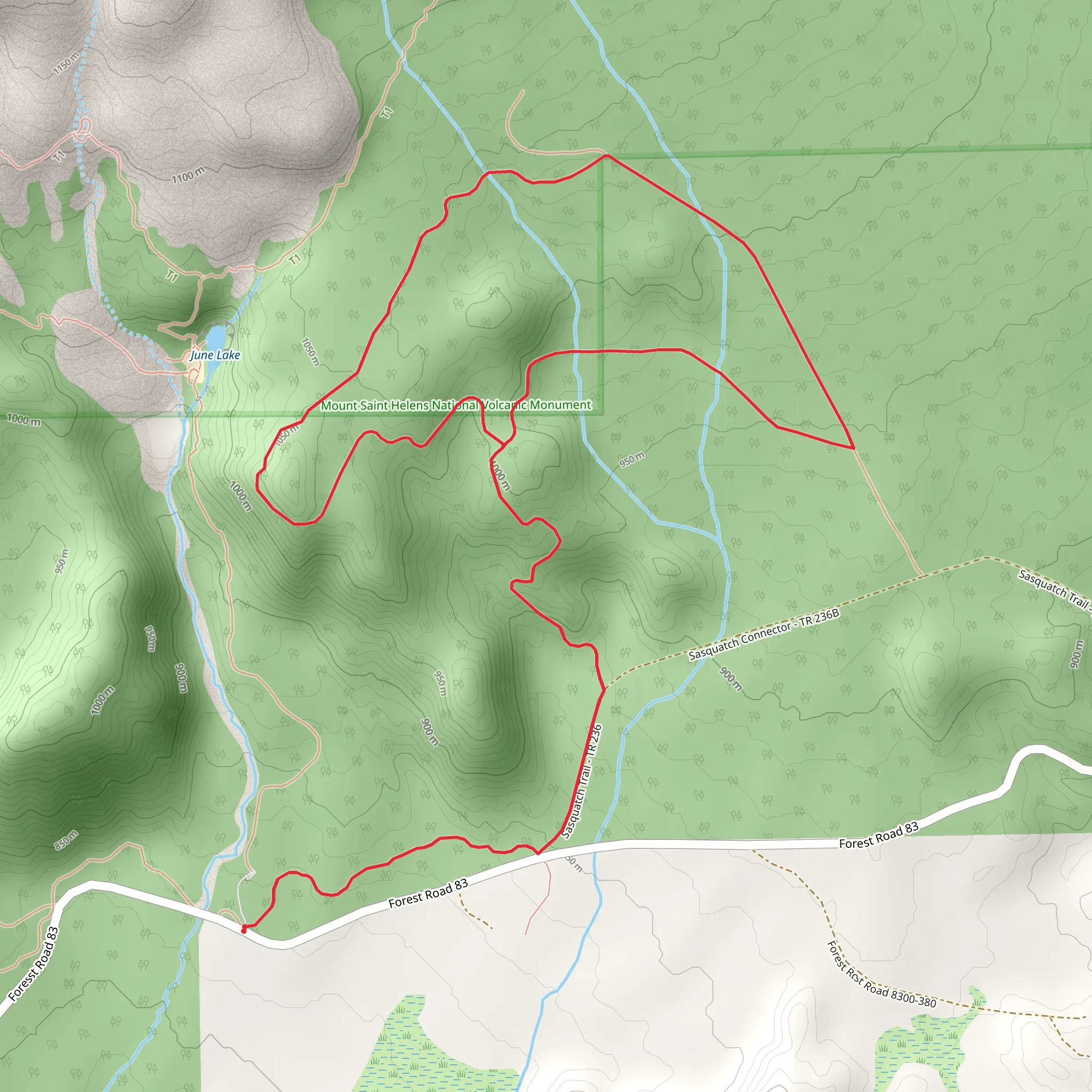 Sasquatch Middle Leg Loop Trail mobile static map
