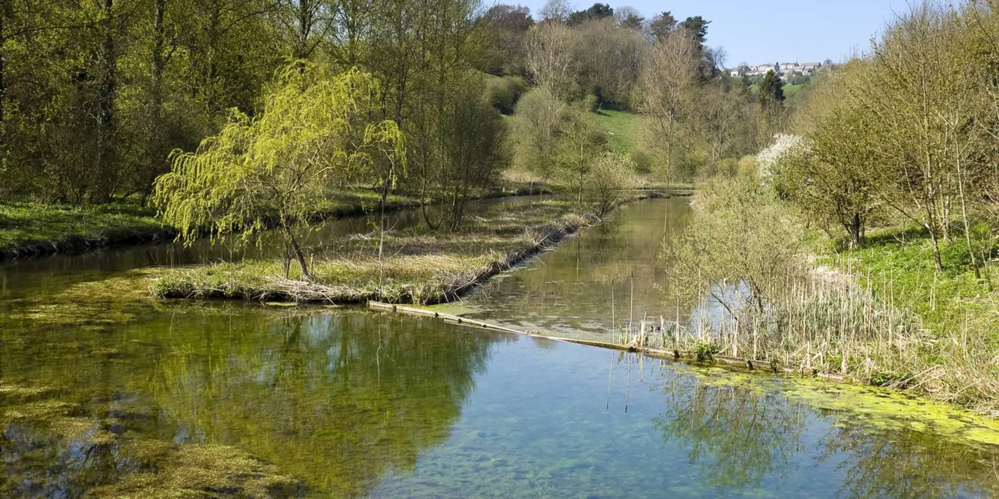 An image depicting the trail Lathkill Dale from Monyash and its surrounding area.