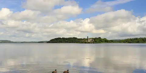 An image depicting the trail Lough Key - The Bog Garden Trail and its surrounding area.