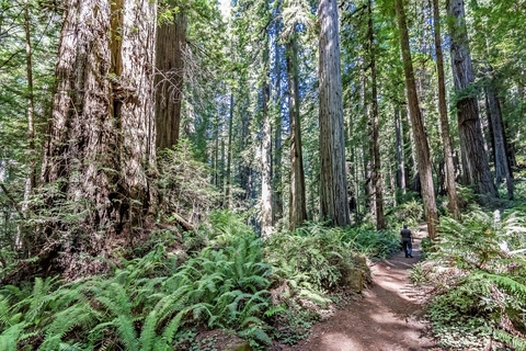 An image depicting the trail California Real Estate Association Trail and its surrounding area.