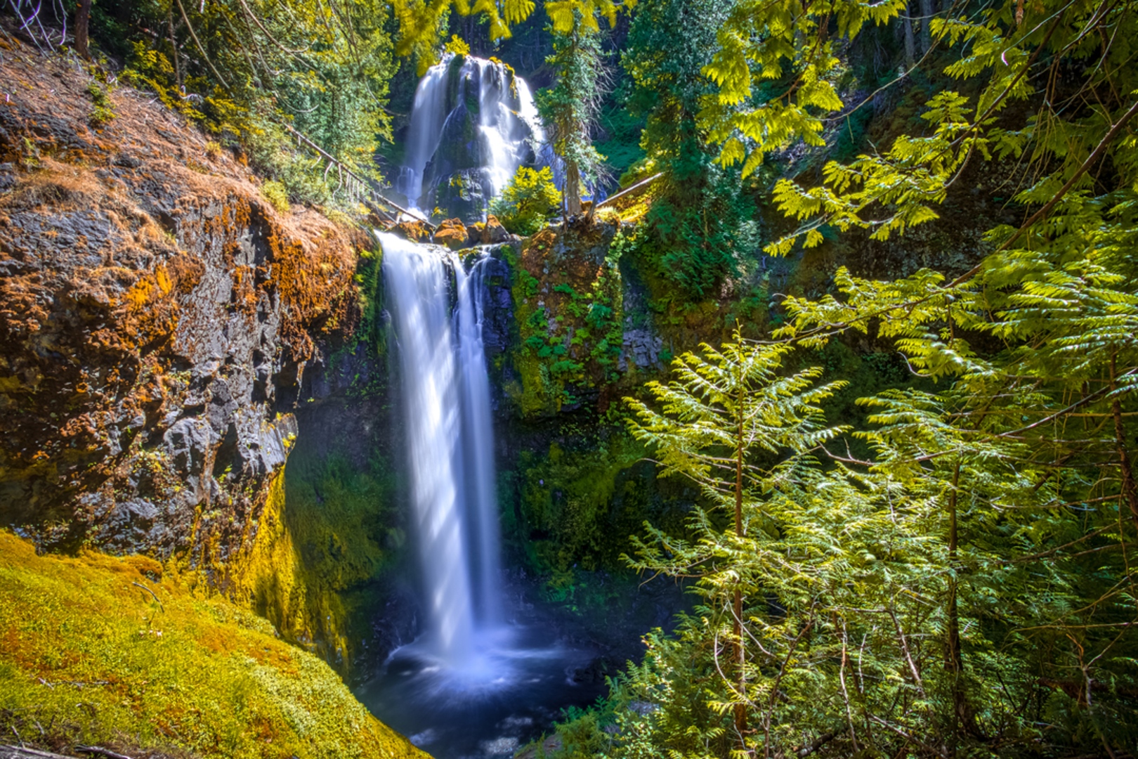 An image depicting the trail Falls Creek Falls Trail and its surrounding area.