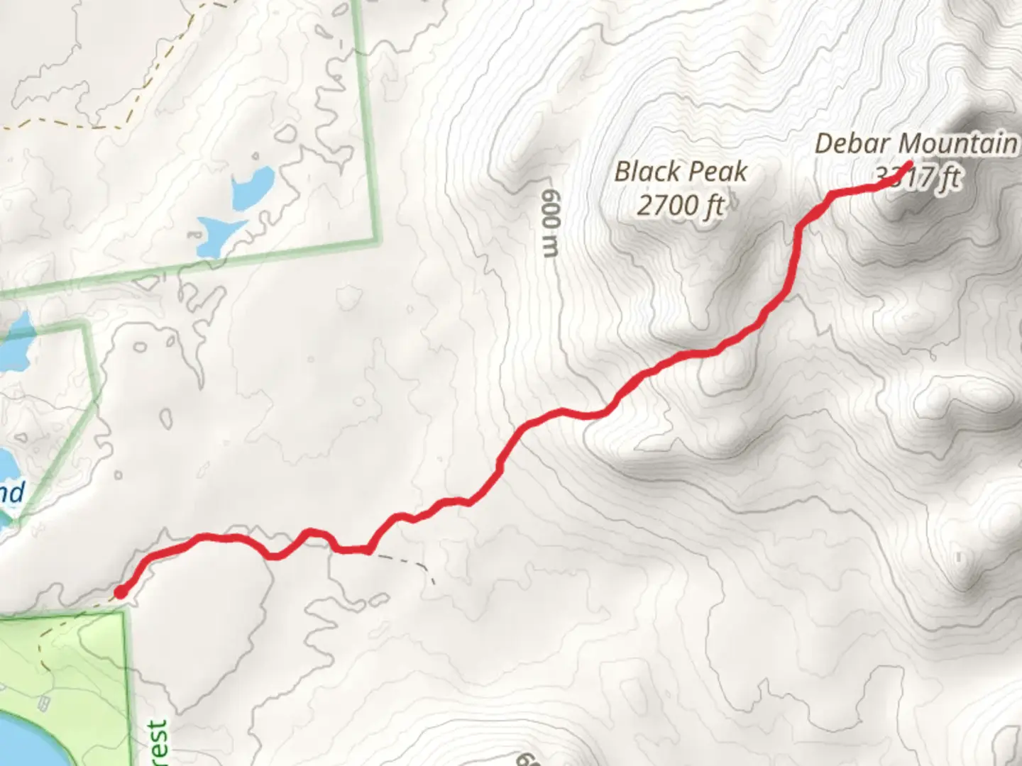 An image depicting the trail Debar Mountain Trail and its surrounding area.