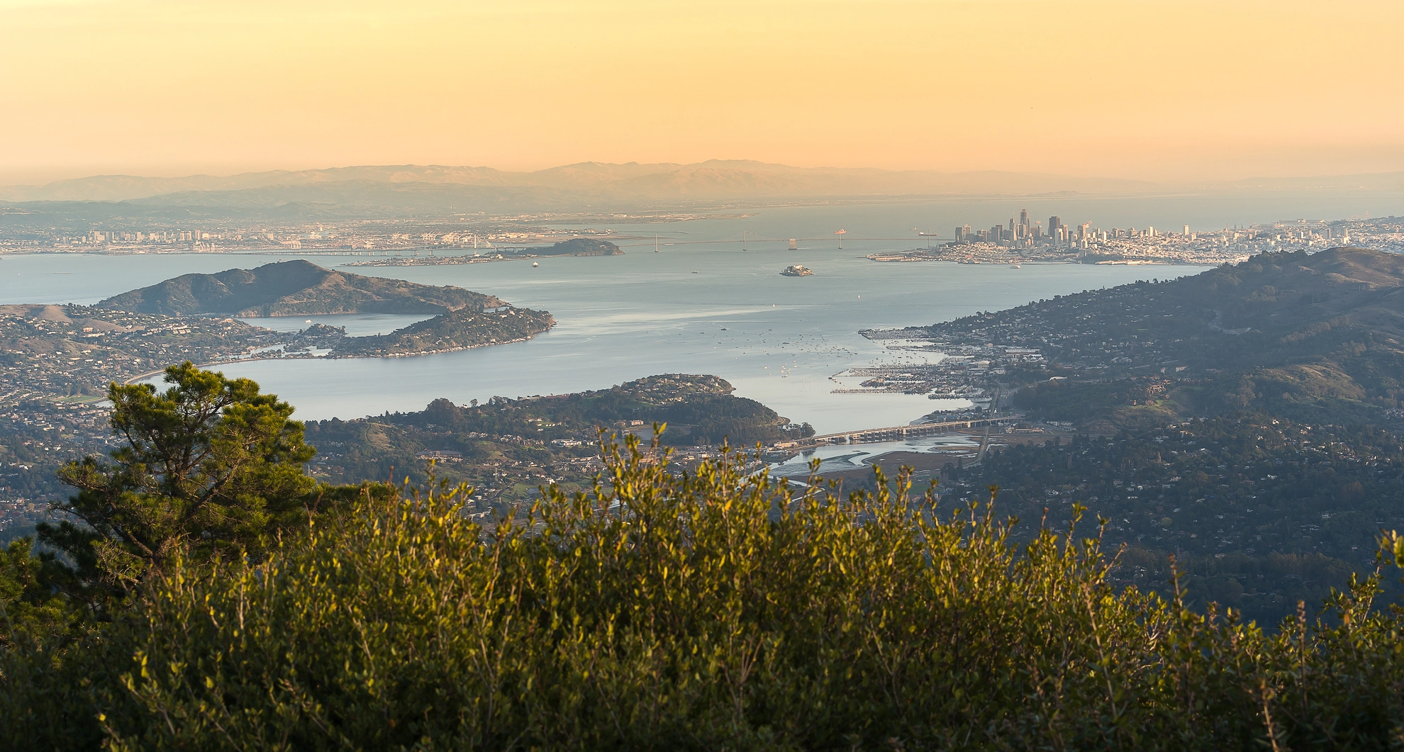 An image depicting the trail Phoenix Lake, Lake Lagunitas and Mount Tamalpais East Peak Loop and its surrounding area.