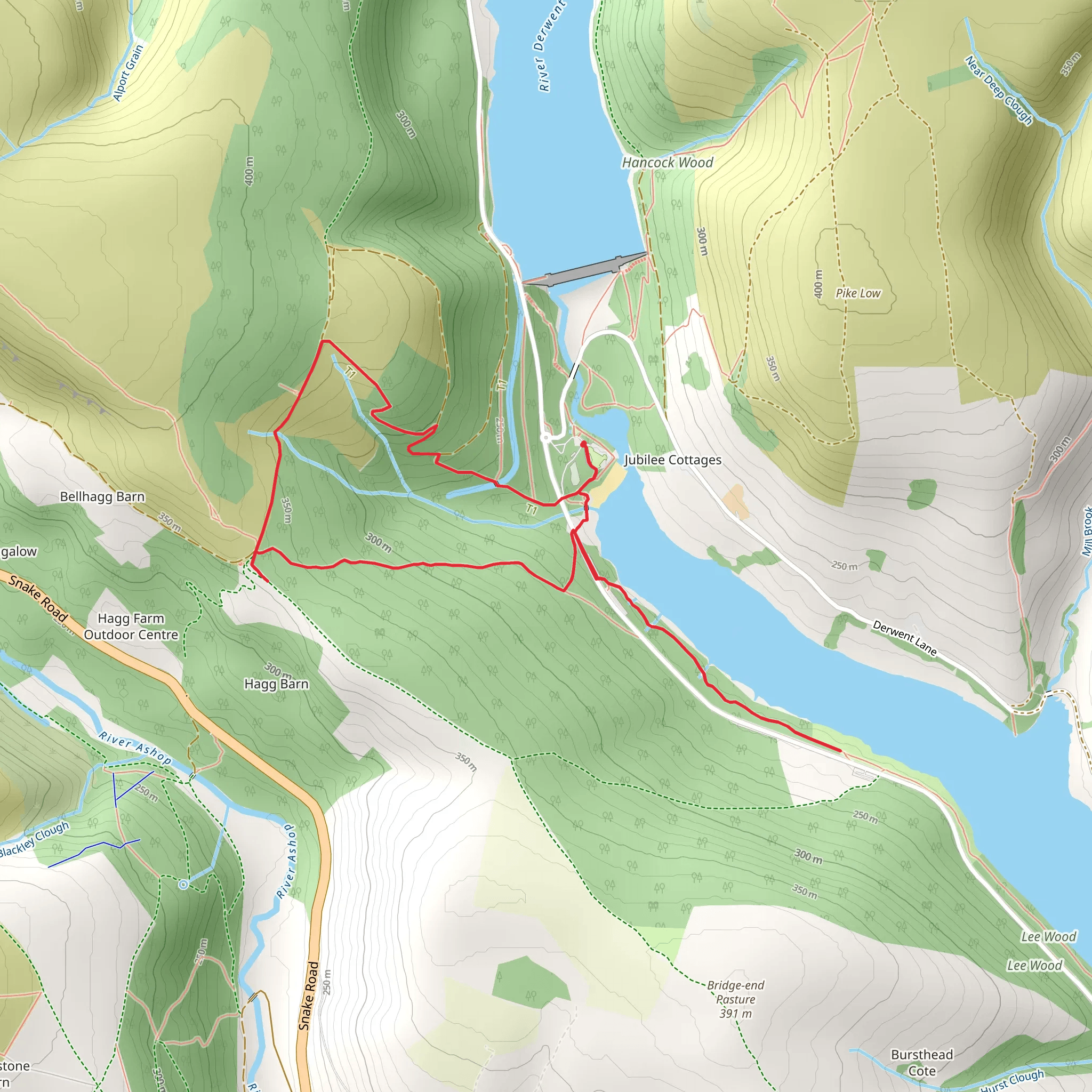 Ladybower Reservoir and Lockerbrook Coppice mobile static map