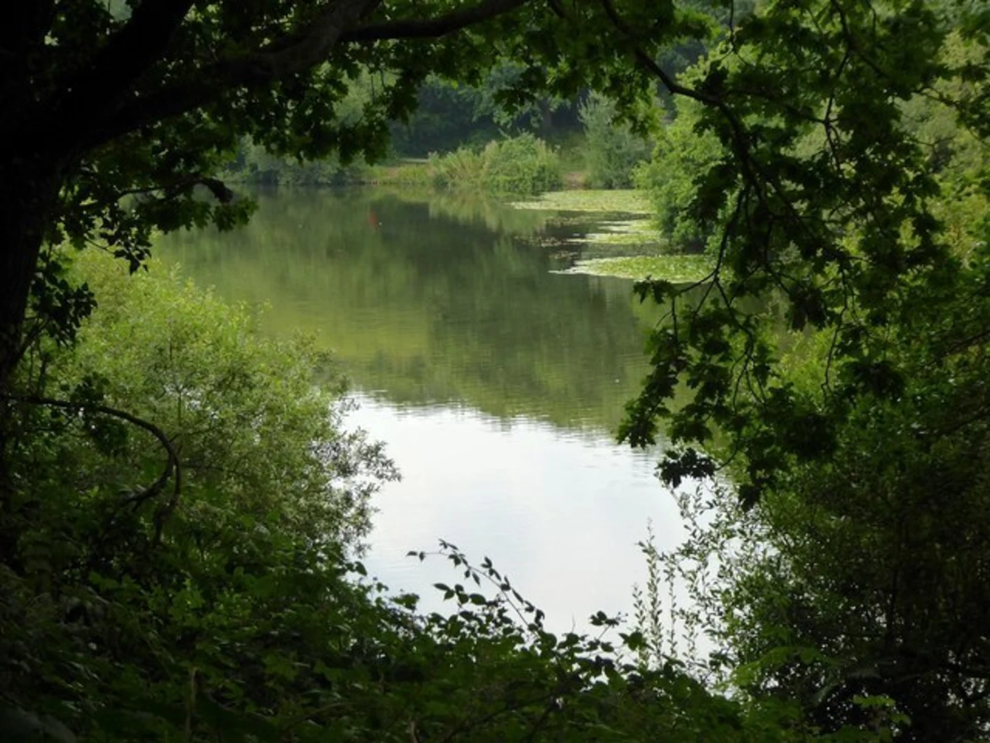 An image depicting the trail Hastings Country Park Loop and its surrounding area.