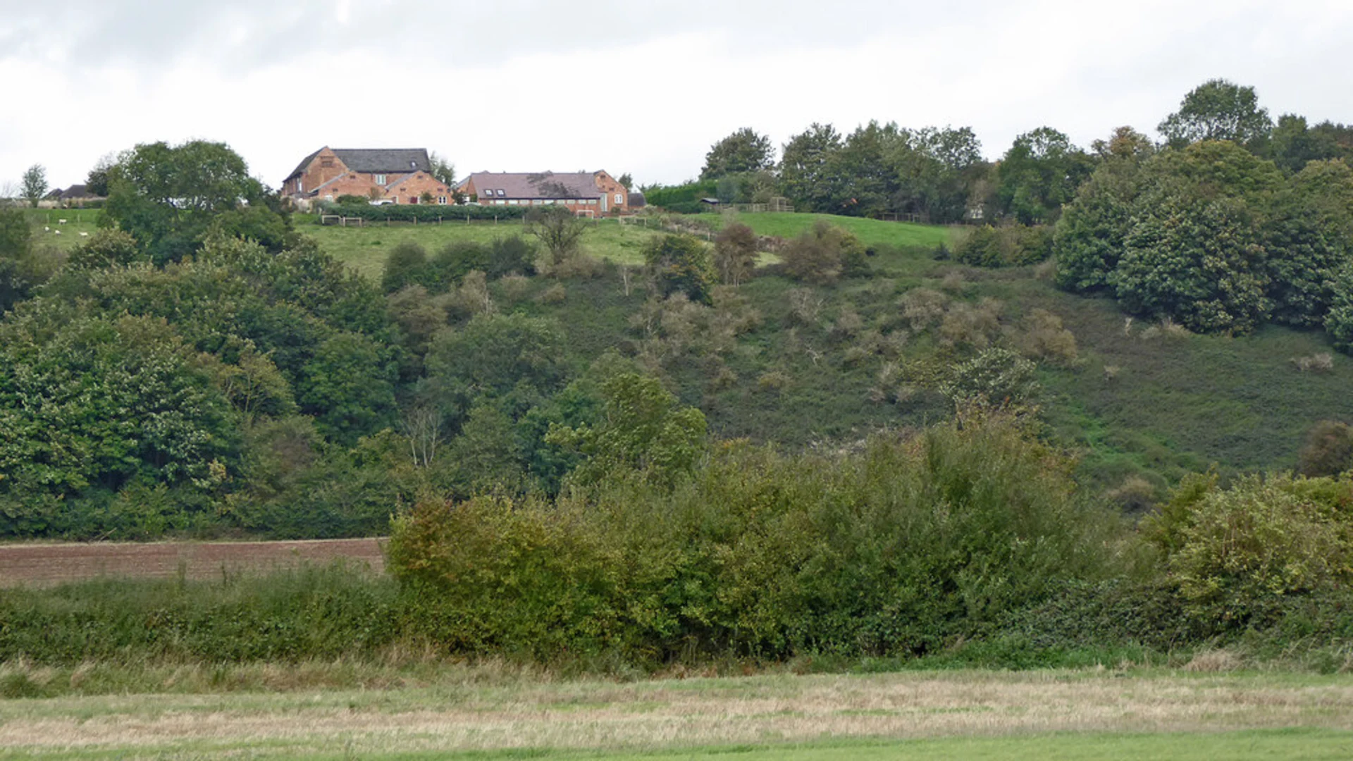 An image depicting the trail Tatenhill and Sinai Park House Loop and its surrounding area.