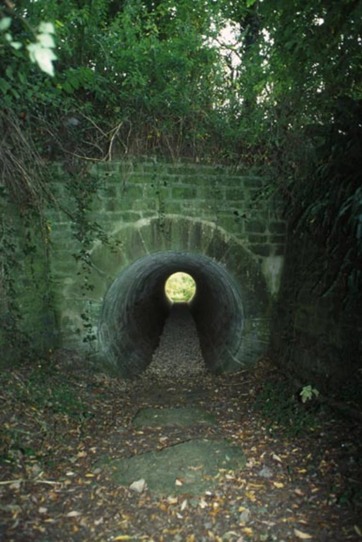 An image depicting the trail Winyard's Gap to Over Stratton Walk and its surrounding area.