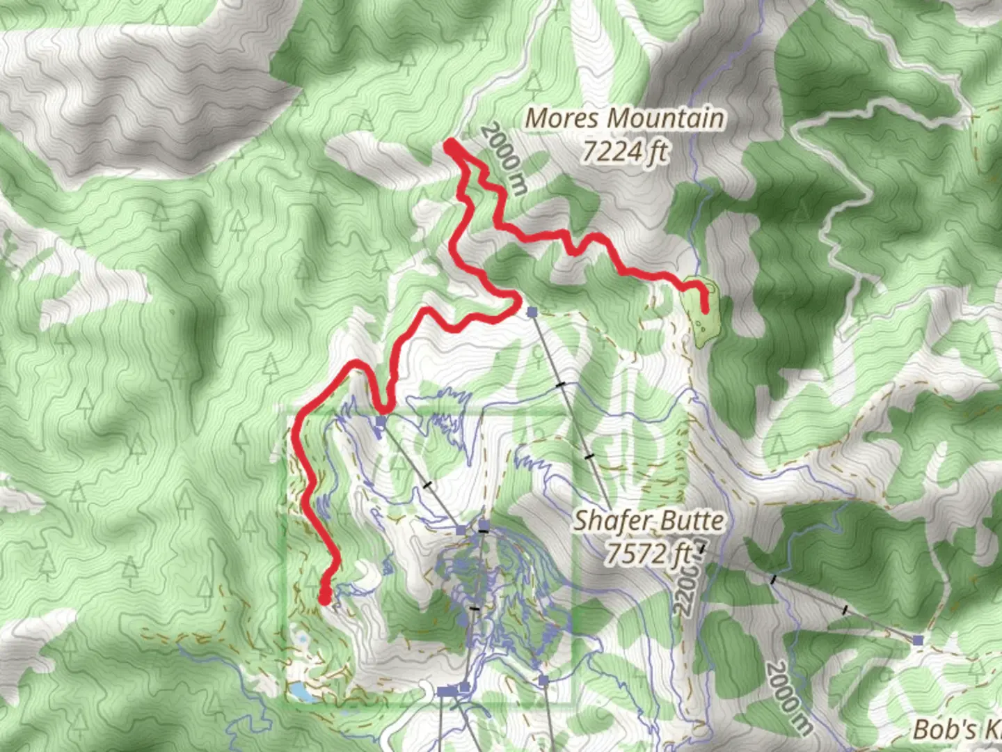 An image depicting the trail North Bogus Ridge Road and its surrounding area.