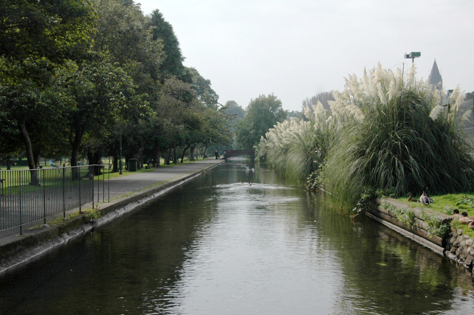 An image depicting the trail Tavistock Canal Walk and its surrounding area.