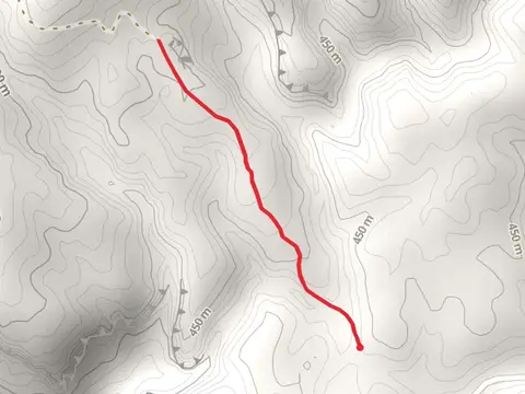 Primroy Bridge Rock Trail