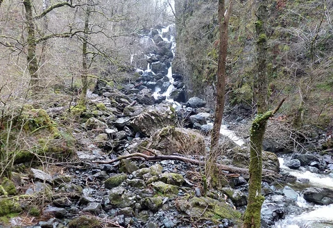 An image depicting the trail Ladore Falls Walk and its surrounding area.