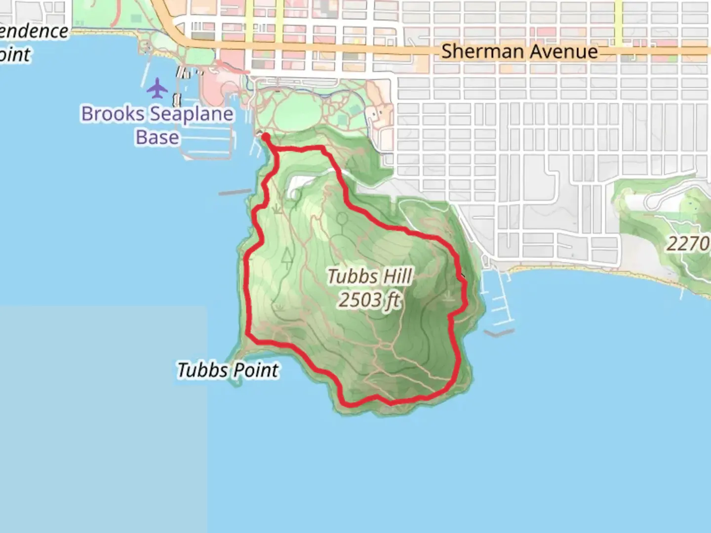 An image depicting the trail Tubbs HIll Main Loop Trail and its surrounding area.