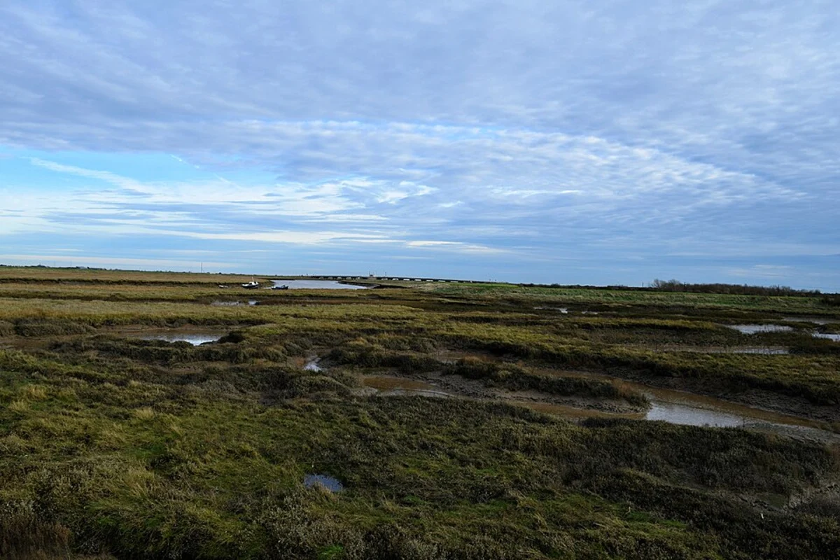 Wakering Common and Wakering Stairs Loop