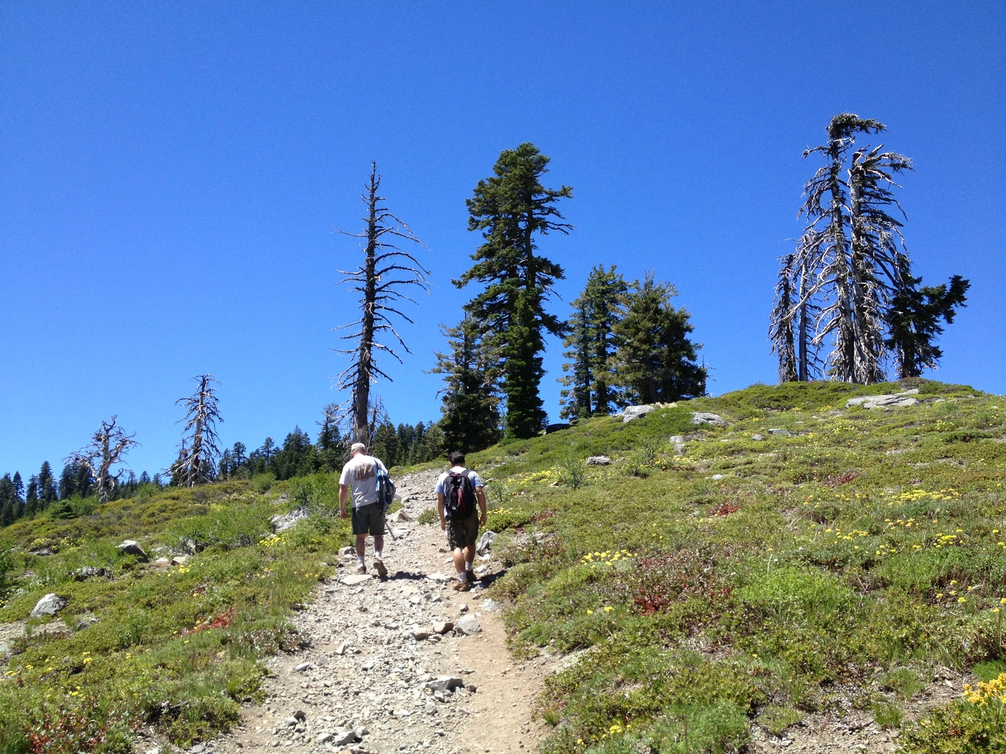 An image depicting the trail Bullpen, Crooked Lake and Round Lake Loop Trail and its surrounding area.