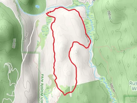 Beaver Creek Long Loop