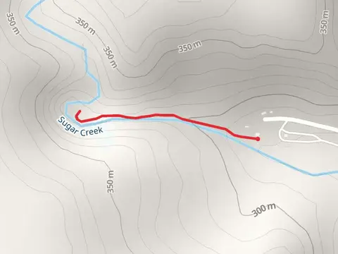 Canaseraga Creek Out and Back