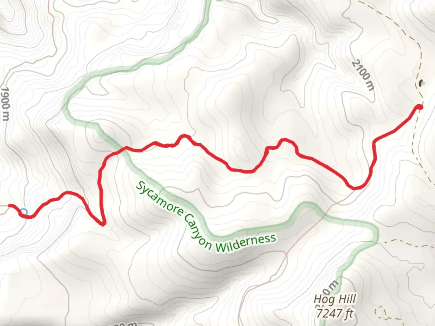 An image depicting the trail Dorsey Spring Trail and its surrounding area.