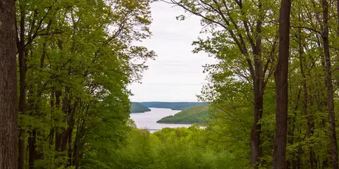 An image depicting the trail Tracy Ridge Loop and its surrounding area.