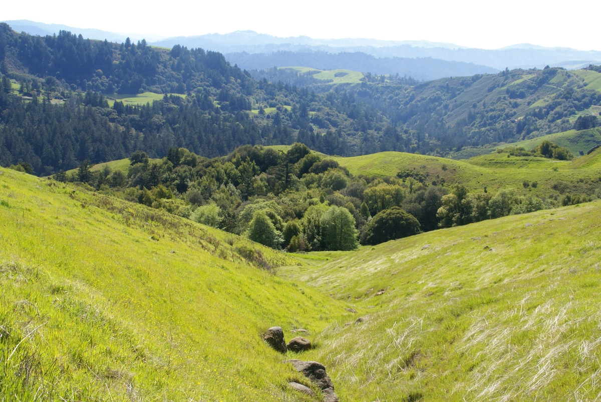 Borel Hill Loop via Hawk Ridge and Ancient Oaks Loop Trail