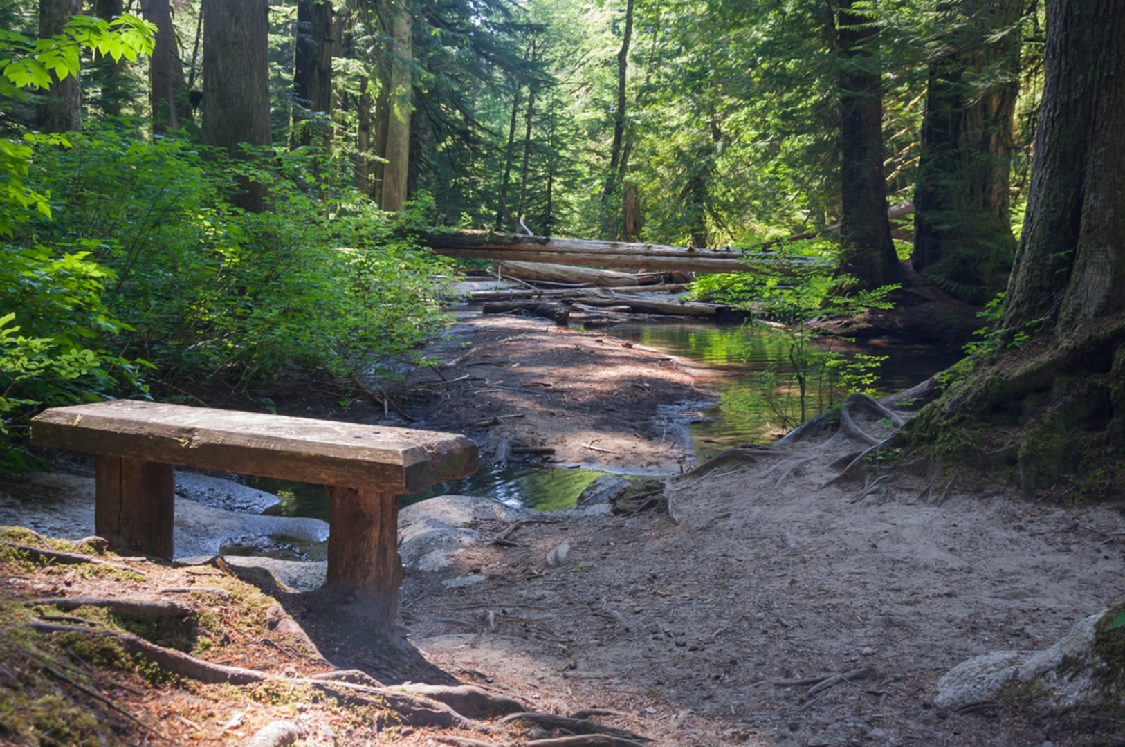 An image depicting the trail Deception Falls Trail and its surrounding area.