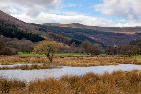Brynich Lock to Talybont-on-Usk