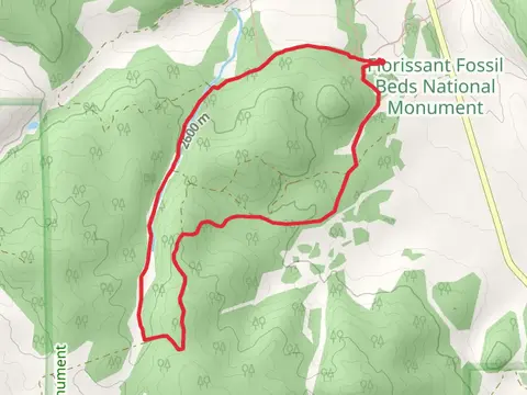 Hornbek Wildlie and Sawmill Trail Loop