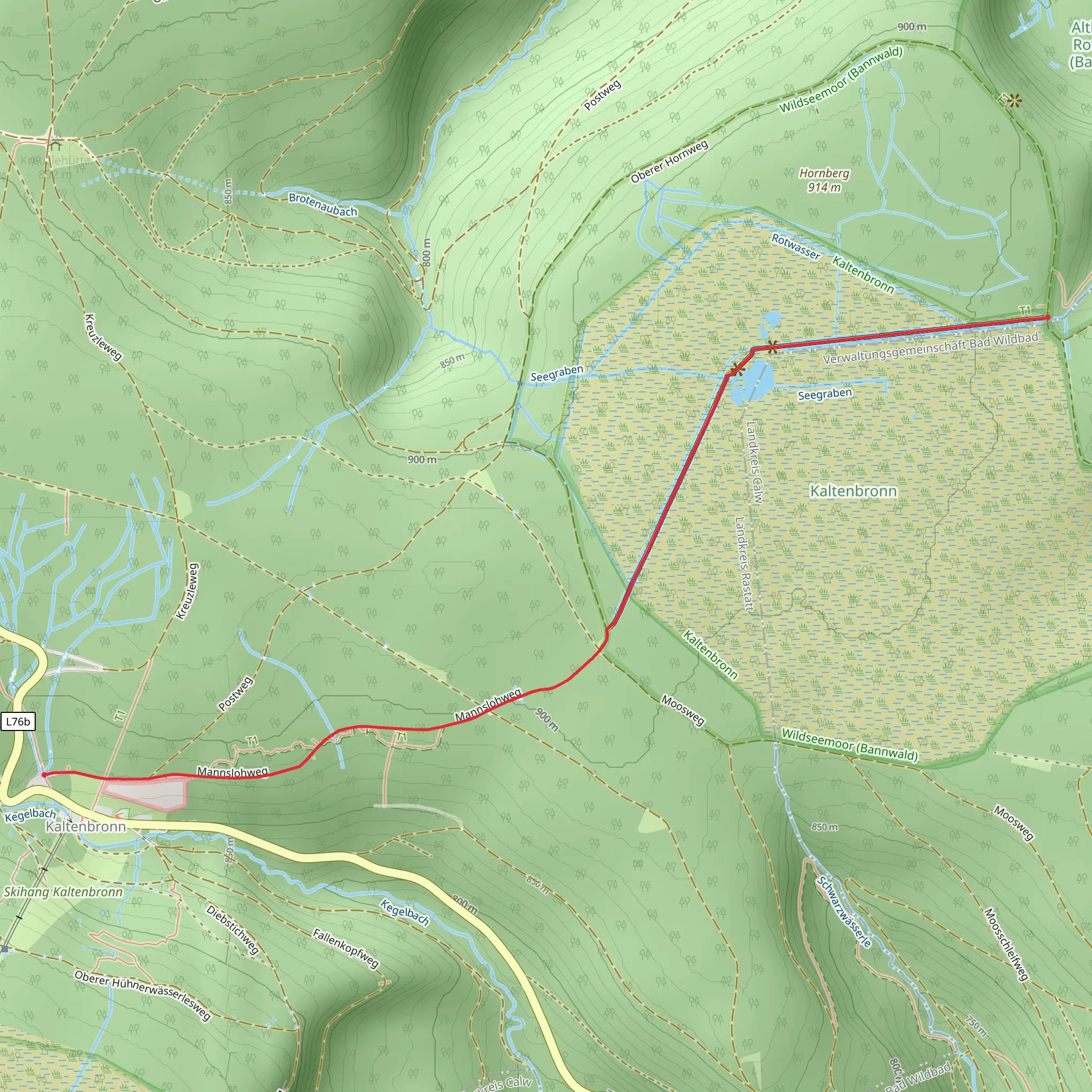 Kaltenbronn to Weißensteinhütte Walk via Wildsee and NSG Wildsemoor mobile static map