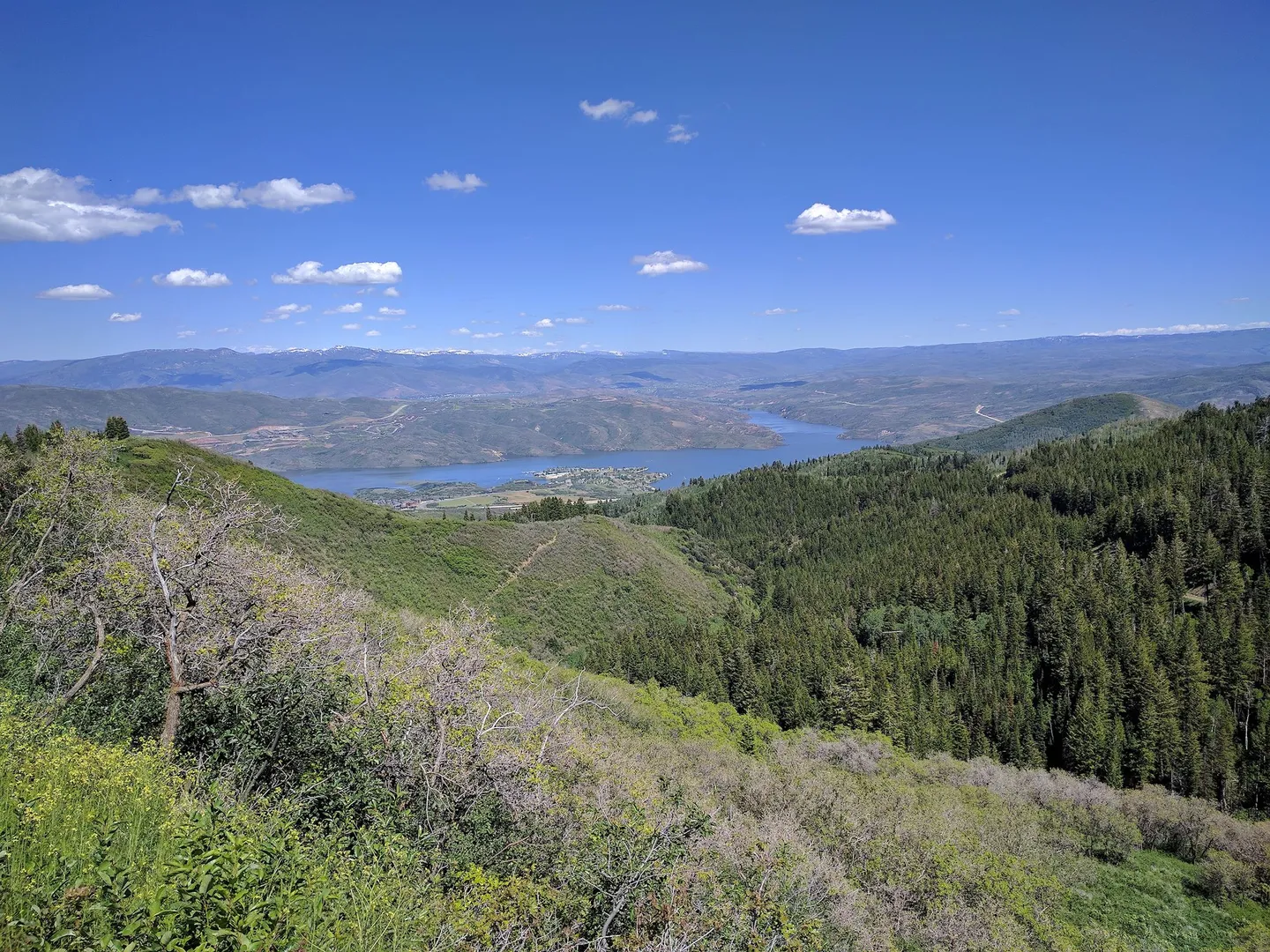 An image depicting the trail Coyote Loop and its surrounding area.