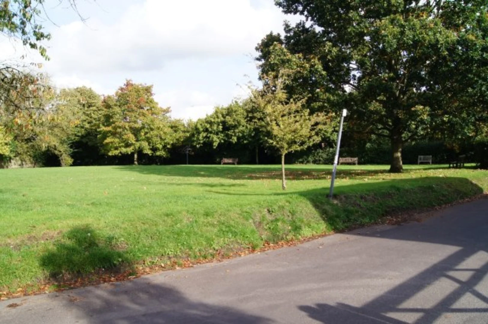 An image depicting the trail Sherborne St John Loop and its surrounding area.