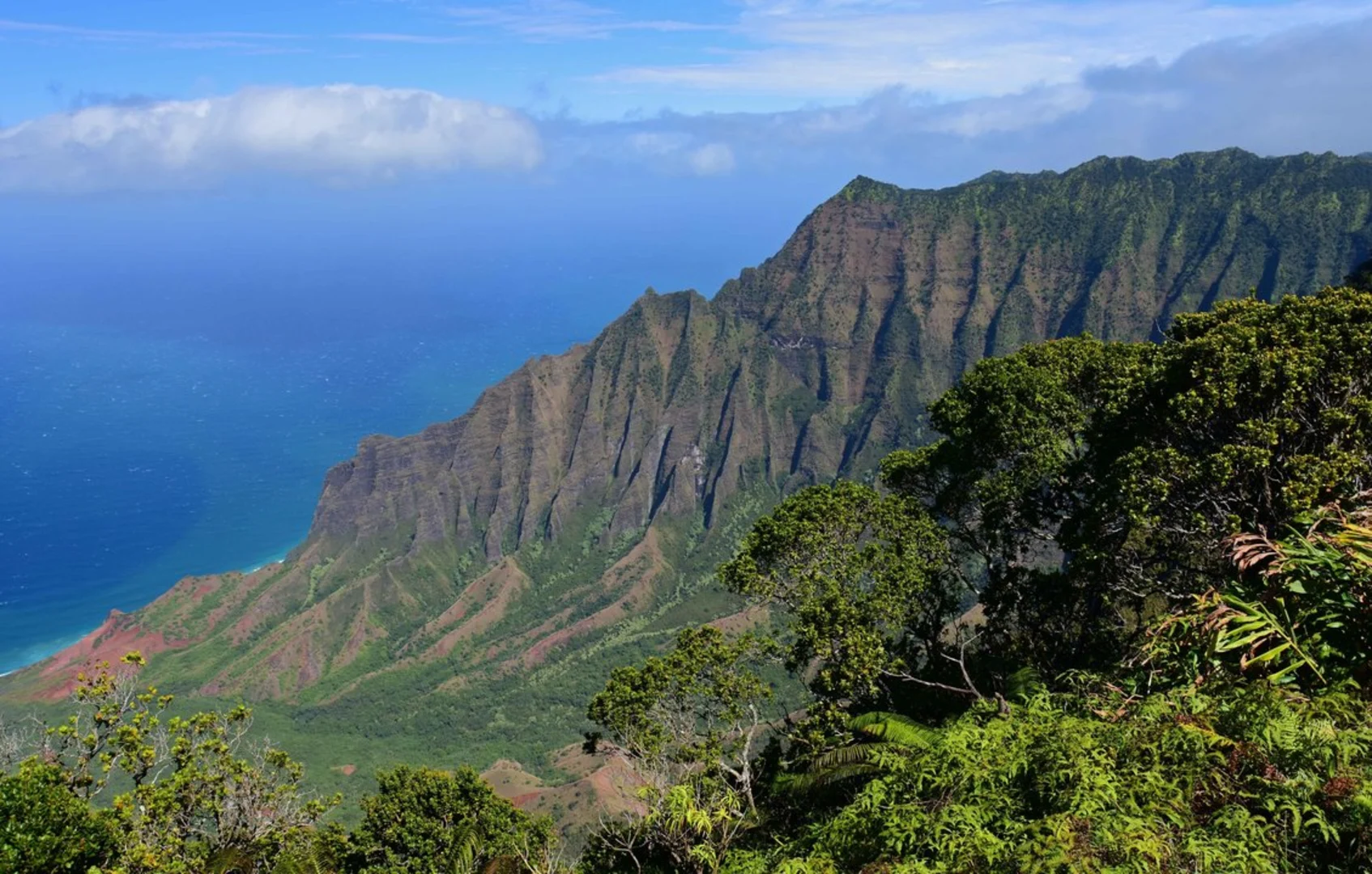 An image depicting the trail Pihea Trail and its surrounding area.