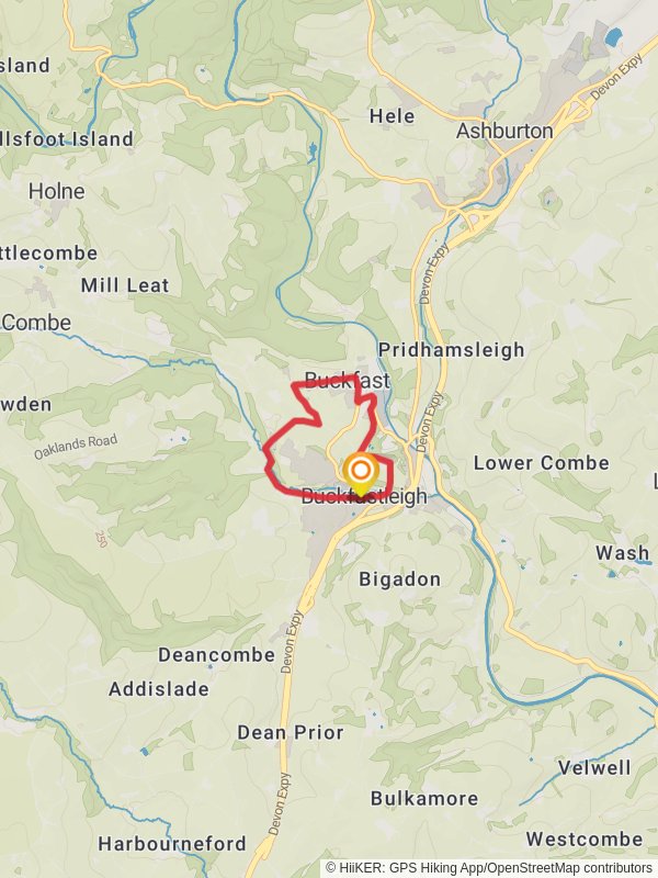 Dartmoor Buckfastleigh Walk Devon England