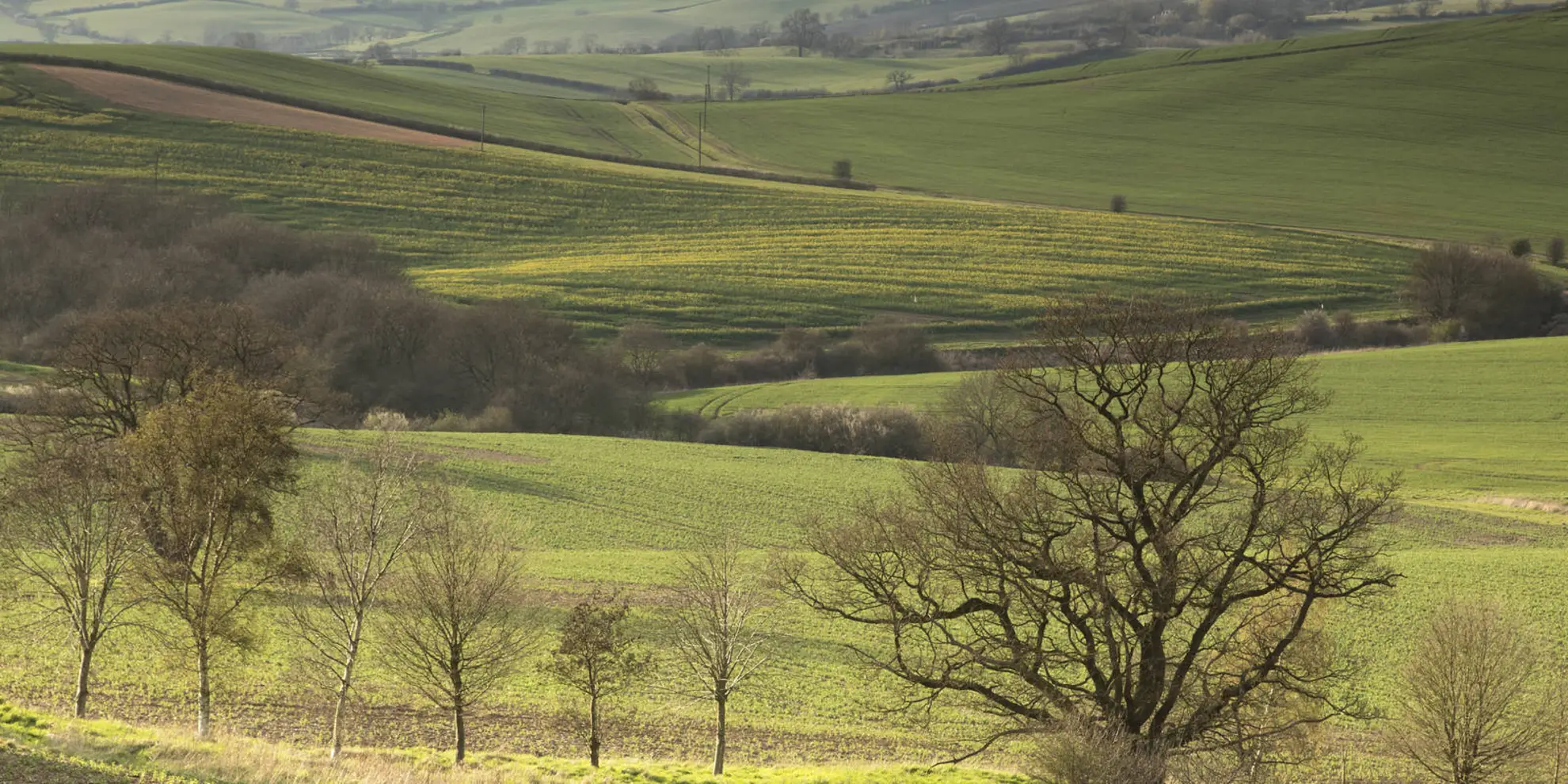 An image depicting the trail Rolleston - Skeffington and Tilton from Billesdon and its surrounding area.